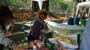 Imagem 066